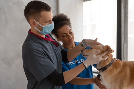 Image of a healthcare professional receiving nonprofit support